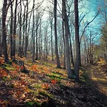 Berg Toboz Panzió