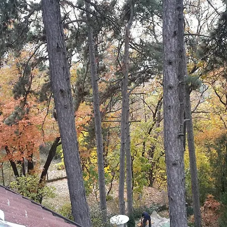 Affittacamere Berg Toboz Panzio