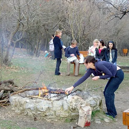 Berg Toboz Panzio 4* Печ