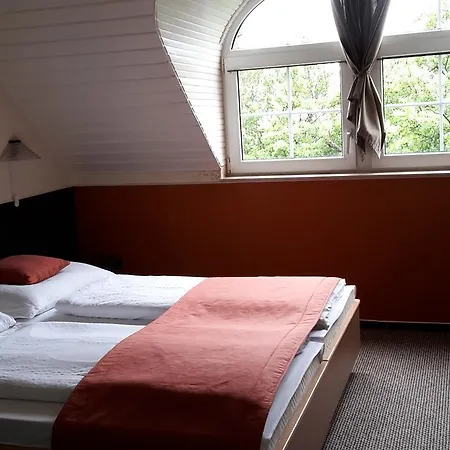 Berg Toboz Panzio 4* Печ