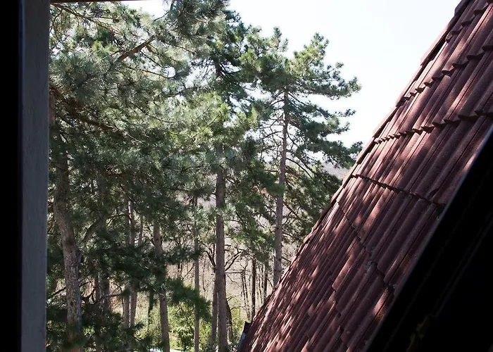 Berg Toboz Panzió Gasthof Pécs