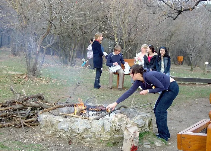 Berg Toboz Panzio 4* Pécs