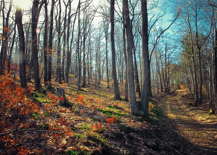 Berg Toboz Panzió