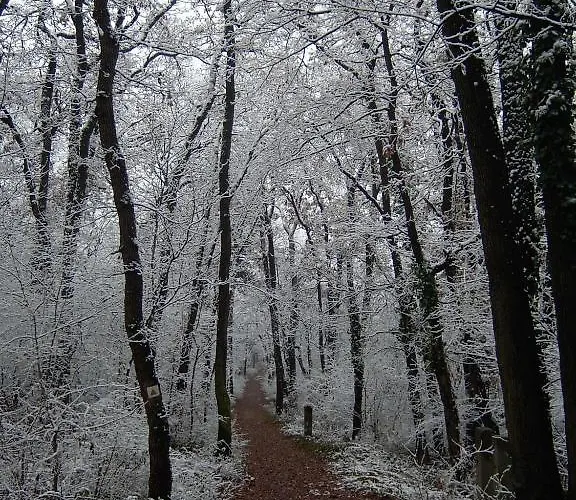Berg Toboz Panzió Gasthof Pécs